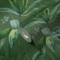 Papel Pintado Hojas de palmera - GOSFORD 02 | MURAKE - 878697