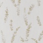 Papel Pintado Ramas eucalipto - YPANÉ 02 | MURAKE - 7023-12