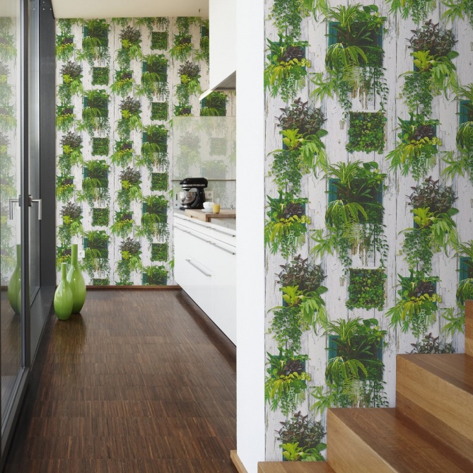 Papel Pintado Maceteros con plantas - UIGE | MURAKE - 314031