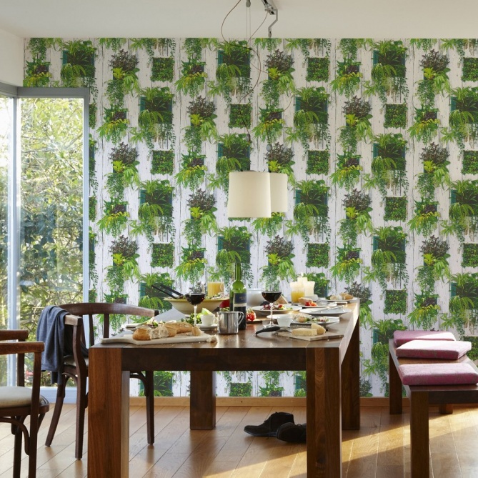Papel Pintado Maceteros con plantas - UIGE | MURAKE - 314031