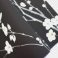 Papel Pintado Flor de cerezo - CARAVIA 01 | MURAKE - 91101