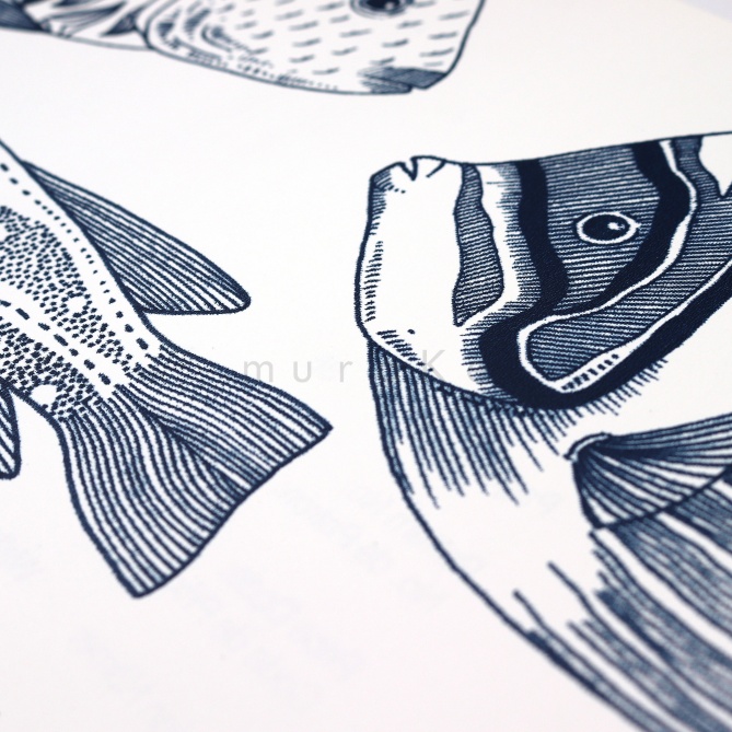 Papel Pintado Peces grandes - ROVIGO 02 | MURAKE - 91122