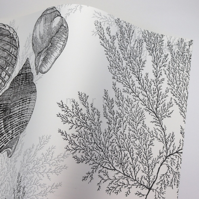 Papel Pintado Conchas y corales - AOSTA 01 | MURAKE - 91151