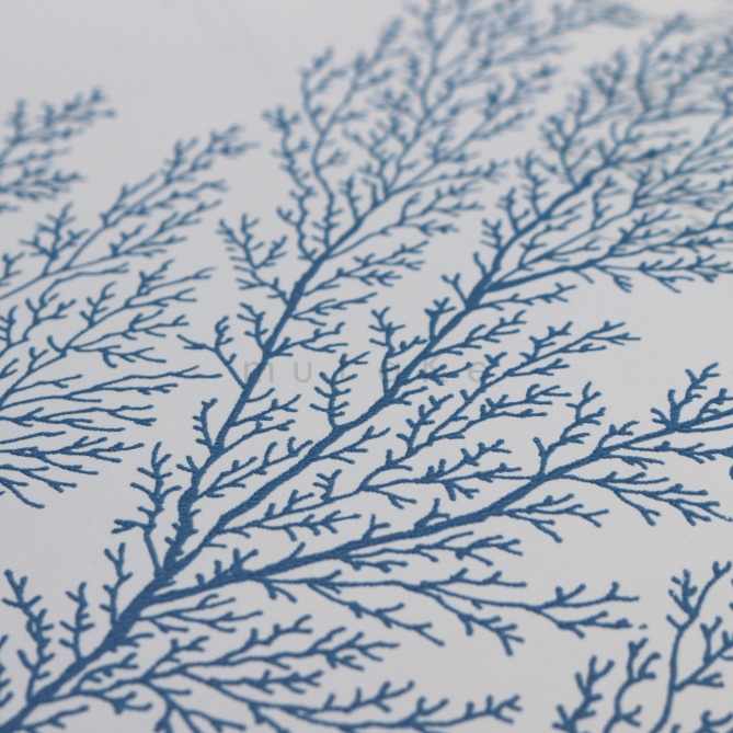 Papel Pintado Conchas y corales - AOSTA 02 | MURAKE - 91152