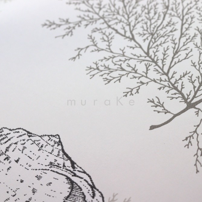 Papel Pintado Conchas y corales - AOSTA 03 | MURAKE - 91153