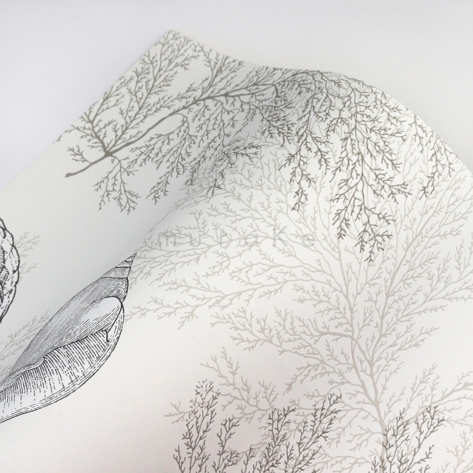 Papel Pintado Conchas y corales - AOSTA 03 | MURAKE - 91153