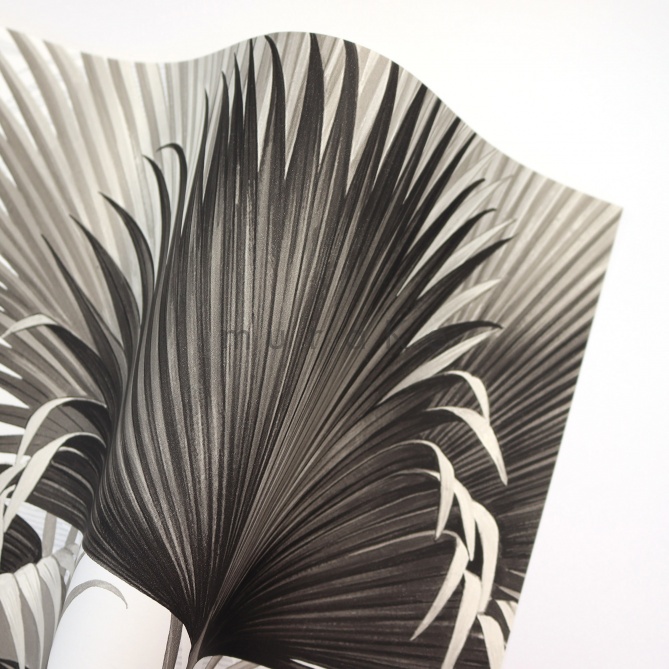 Papel Pintado Hojas de palmera - DONATO 01 | MURAKE - 91181