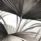 Papel Pintado Hojas de palmera - DONATO 01 | MURAKE - 91181