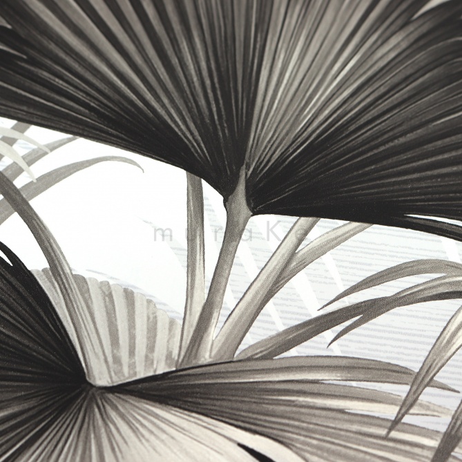 Papel Pintado Hojas de palmera - DONATO 01 | MURAKE - 91181