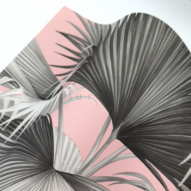 Papel Pintado Hojas de palmera - DONATO 02 | MURAKE - 91182