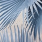 Papel Pintado Hojas de palmera - DONATO 03 | MURAKE - 91183
