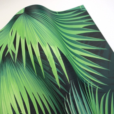 Papel Pintado Hojas de palmera - DONATO 04 | MURAKE - 91184