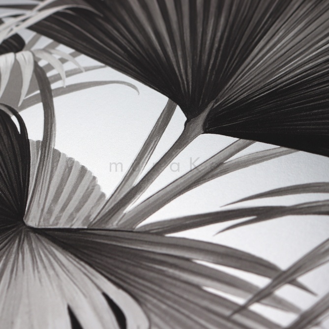 Papel Pintado Hojas de palmera - DONATO 05 | MURAKE - 91185