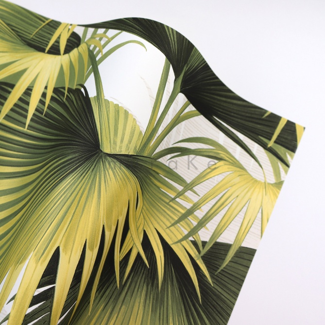 Papel Pintado Hojas de palmera - DONATO 06 | MURAKE - 91186