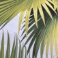 Papel Pintado Hojas de palmera - DONATO 06 | MURAKE - 91186