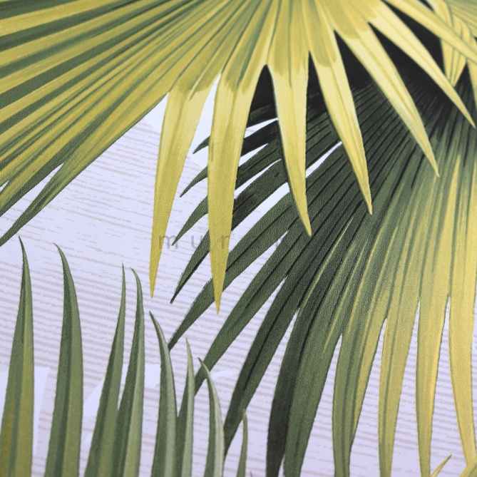 Papel Pintado Hojas de palmera - DONATO 06 | MURAKE - 91186