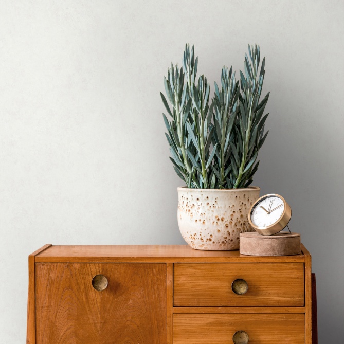 Papel Pintado Yeso recubierto - TIMIA 01 | MURAKE - 83631