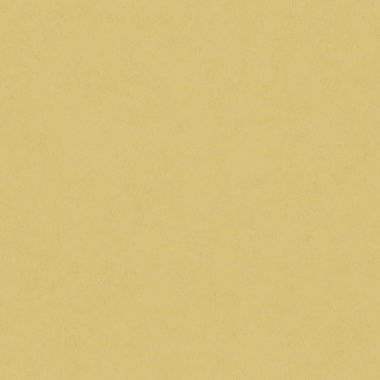 Papel Pintado Yeso recubierto - TIMIA 08 | MURAKE - 83638
