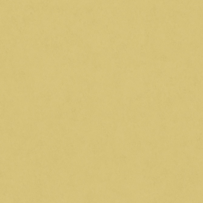 Papel Pintado Yeso recubierto - TIMIA 08 | MURAKE - 83638