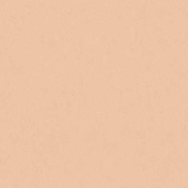 Papel Pintado Yeso recubierto - TIMIA 09 | MURAKE - 83639