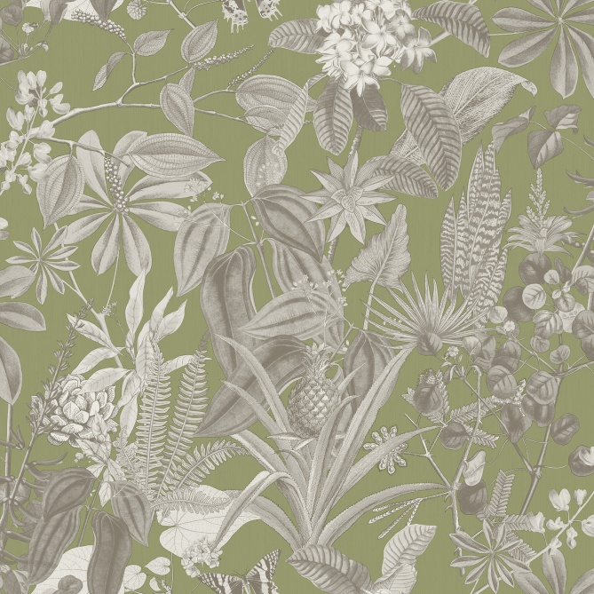 Papel Pintado  Bromelias - POIPET 04 | MURAKE - 83204