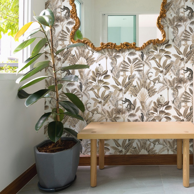 Papel Pintado Monos exóticos - ARANDA 02 | MURAKE - 86837