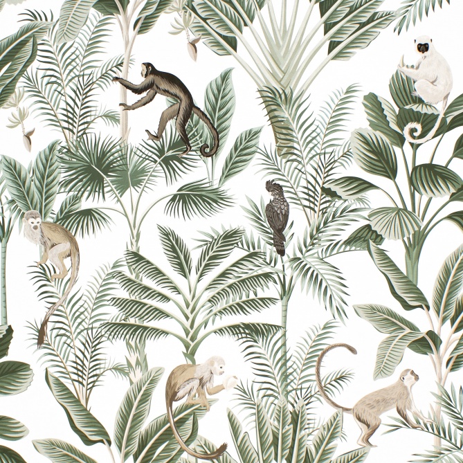 Papel Pintado Monos exóticos - ARANDA 04 | MURAKE - 86839