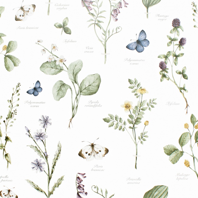 Papel Pintado Herbario - VIEVIS 01 | MURAKE - 86881