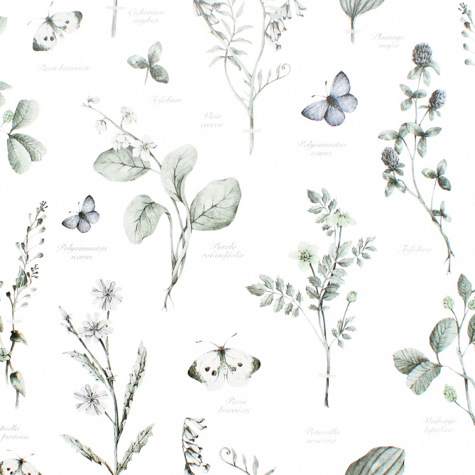 Papel Pintado Herbario - VIEVIS 02 | MURAKE - 86882