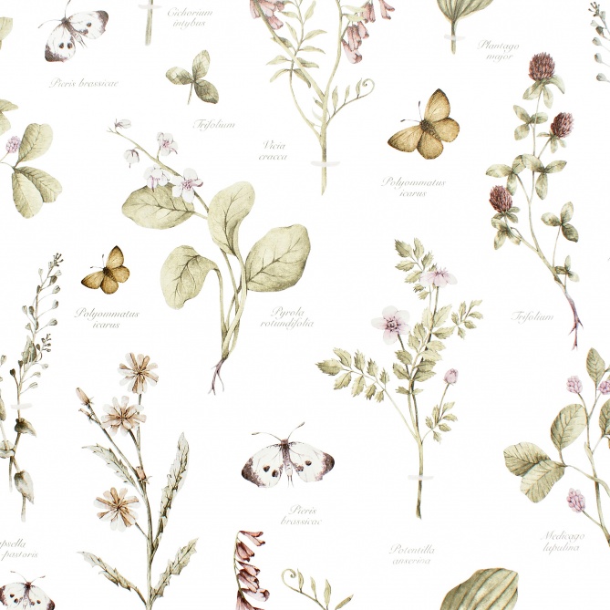 Papel Pintado Herbario - VIEVIS 03 | MURAKE - 86883