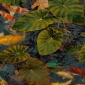 Papel Pintado Peces Koi - TRONDRO 02 | MURAKE - 11332