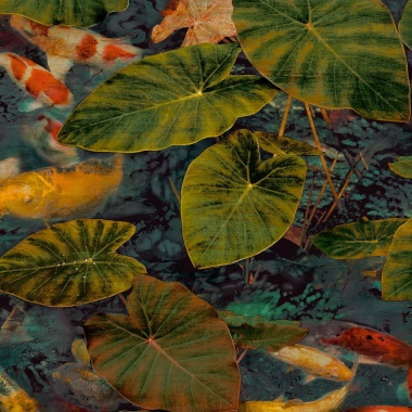 Papel Pintado Peces Koi - TRONDRO 02 | MURAKE - 11332