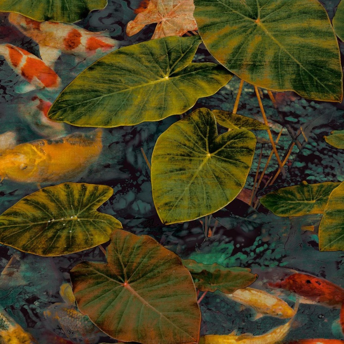 Papel Pintado Peces Koi - TRONDRO 02 | MURAKE - 11332