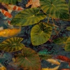 Papel Pintado Peces Koi - TRONDRO 02 | MURAKE - 11332