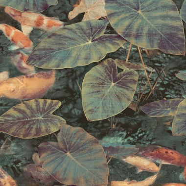 Papel Pintado Peces Koi - TRONDRO 01 | MURAKE - 11331