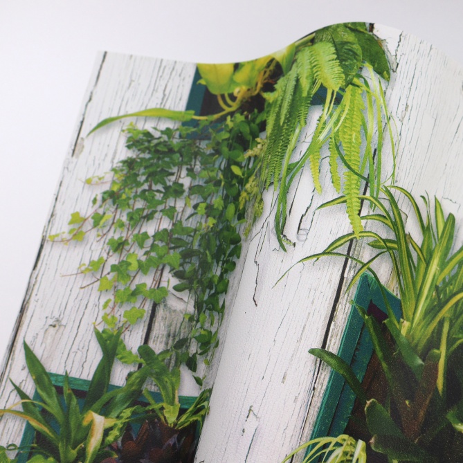 Papel Pintado Maceteros con plantas - UIGE | MURAKE - 314031