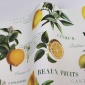 Papel Pintado Limonero - TRYNOVE 01 | MURAKE - 83091