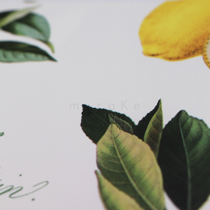 Papel Pintado Limonero - TRYNOVE 01 | MURAKE - 83091