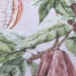 Papel Pintado Fruto cacao - BANLUNG 04 | MURAKE - 83164