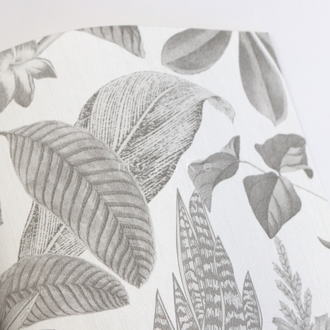 Papel Pintado  Bromelias - POIPET 01 | MURAKE - 83201