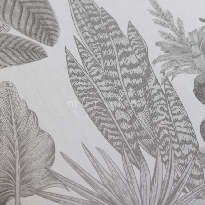 Papel Pintado  Bromelias - POIPET 01 | MURAKE - 83201