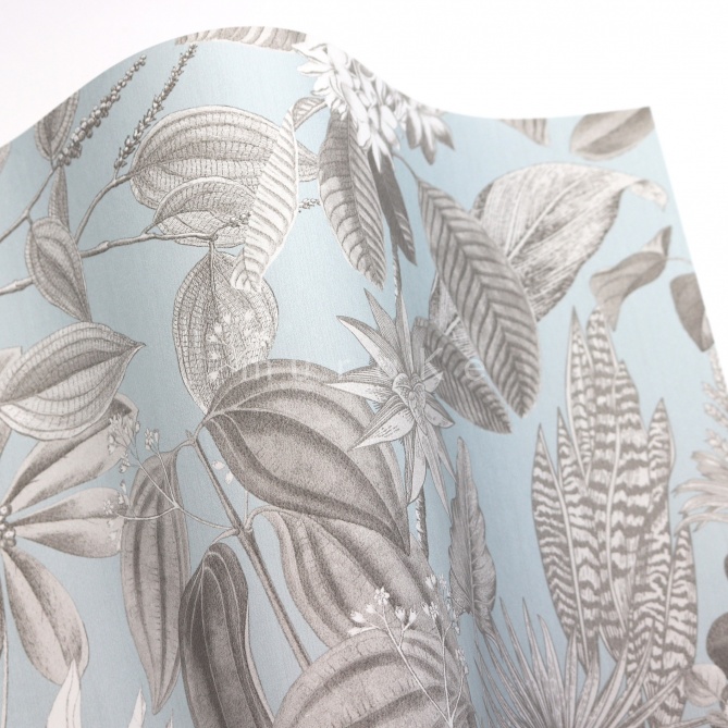 Papel Pintado  Bromelias - POIPET 03 | MURAKE - 83203