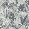 Papel Pintado Hojas tropicales - SALANTAI 01 | MURAKE - 879146