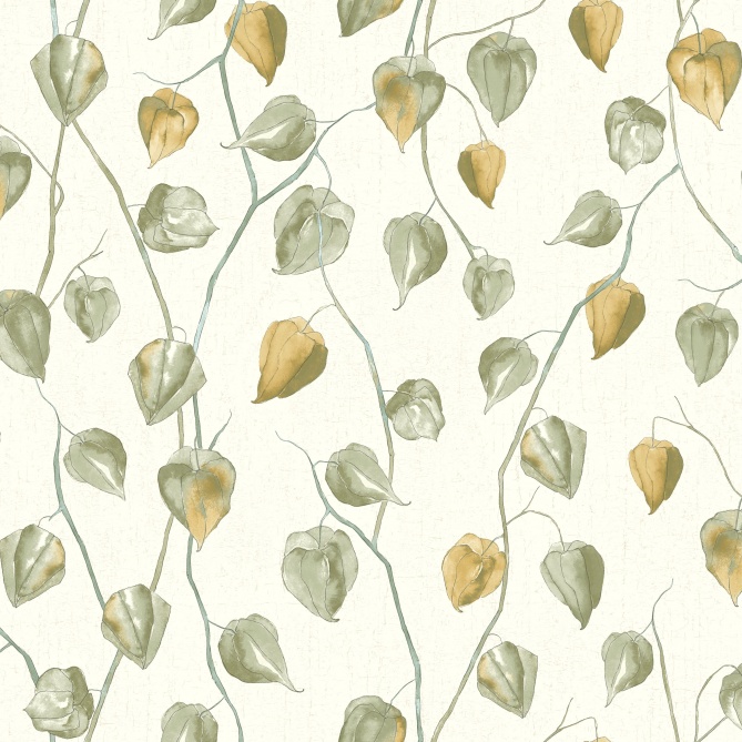 Papel Pintado Flor de Physalis - AINATA 05 | MURAKE - 879185