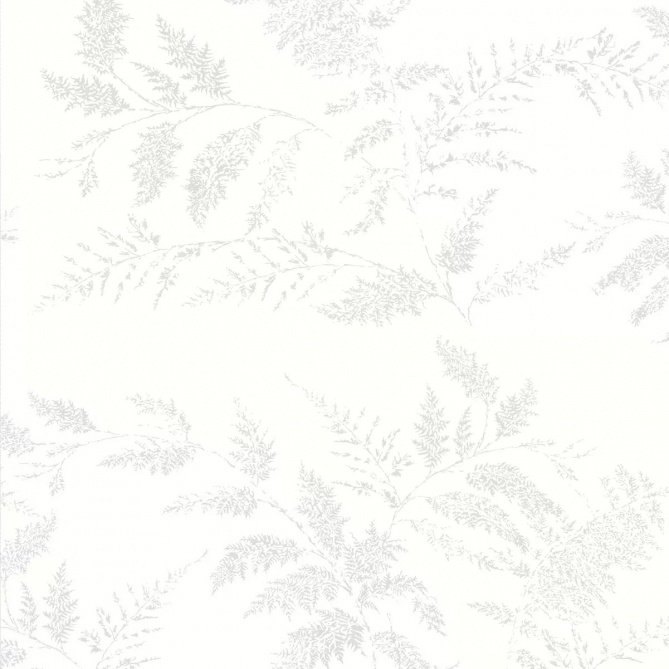 Papel Pintado Ramas de helecho - FERN 03 | MURAKE - 203147