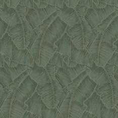 Papel Pintado Grandes hojas de plátanos - TAGUASCO 04 | MURAKE - 5001/64