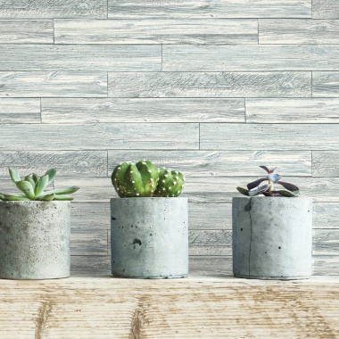 Papel Pintado Tablillas de madera - ALAMEIN 02 | MURAKE - 879272
