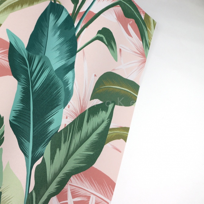 Papel Pintado Hojas de plátano - RATBY 03 | MURAKE - 878778