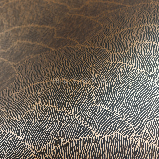 Papel Pintado Hojas abstractas - MARADI 01 | MURAKE - 83611