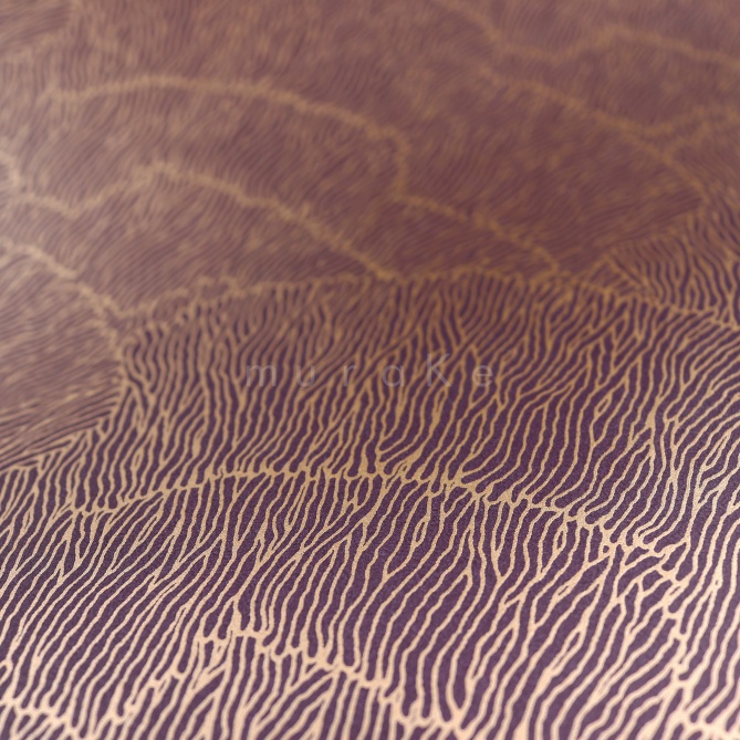 Papel Pintado Hojas abstractas - MARADI 03 | MURAKE - 83613